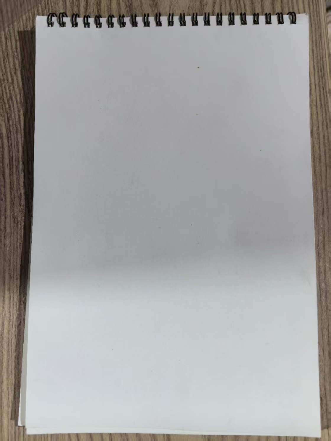 线圈图画本空白册页
