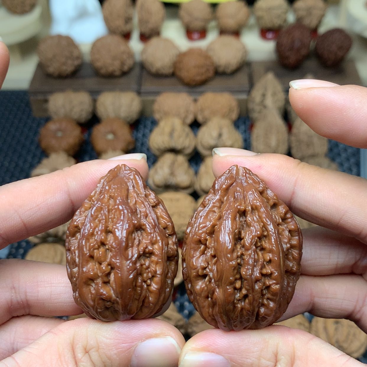 【闪购商品】文玩核桃把件全品吉林霸下纹秋子代出