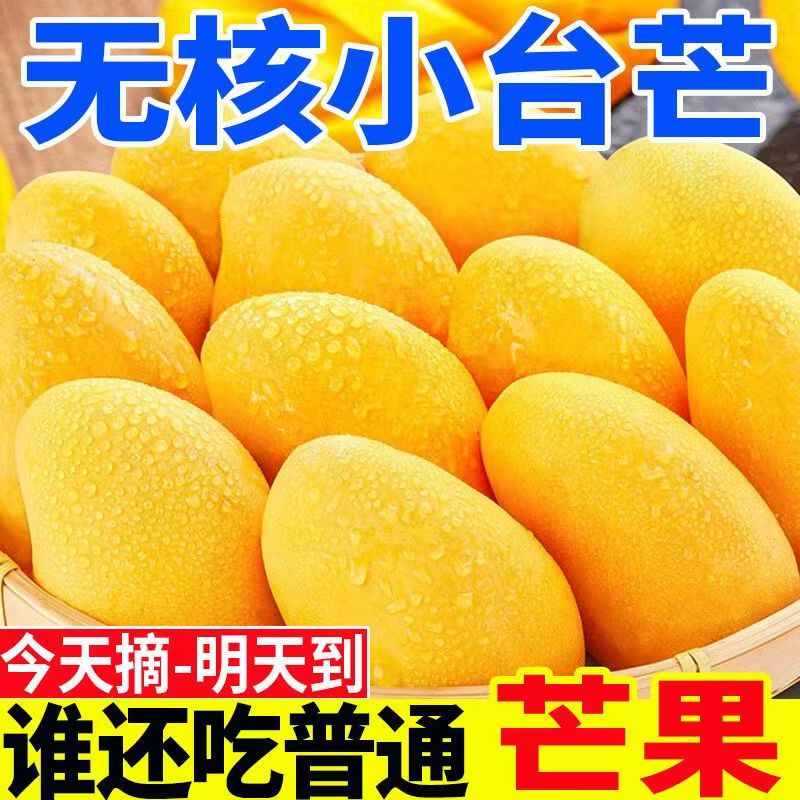 【低价】海南新鲜小台农台农芒老果树香甜大果当季热带水果整箱芒果
