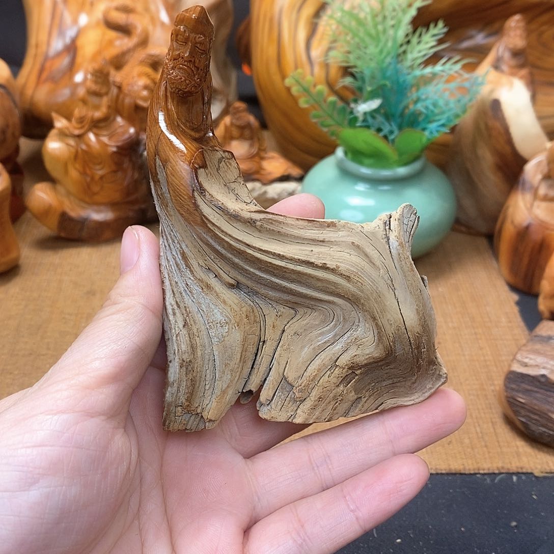 柏木（崖柏）一物一图