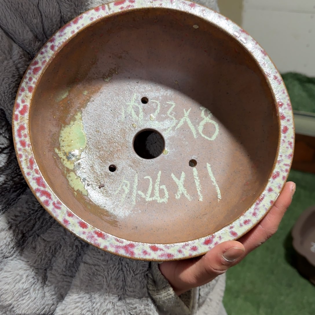 紫砂花盆呜呜呜呜