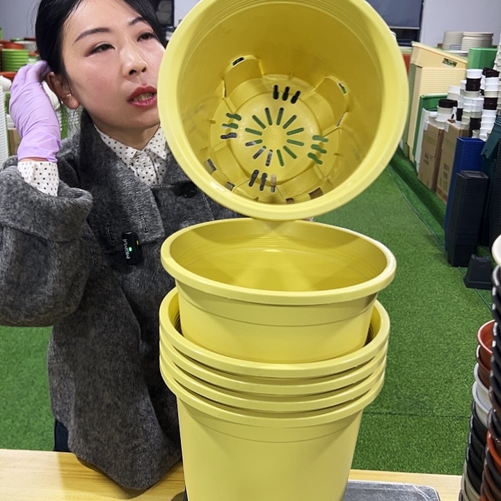 微瑕圆控口24高24黄色6只无托