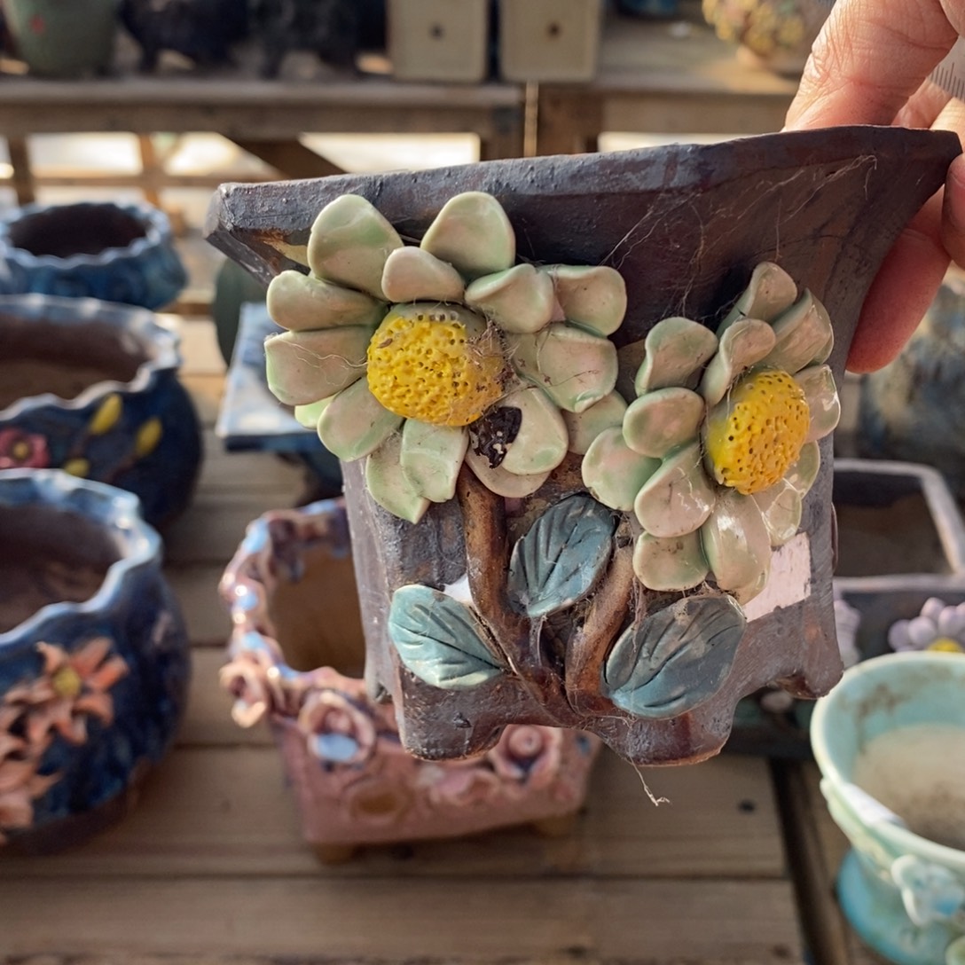 14号多肉盆口径11瑕疵