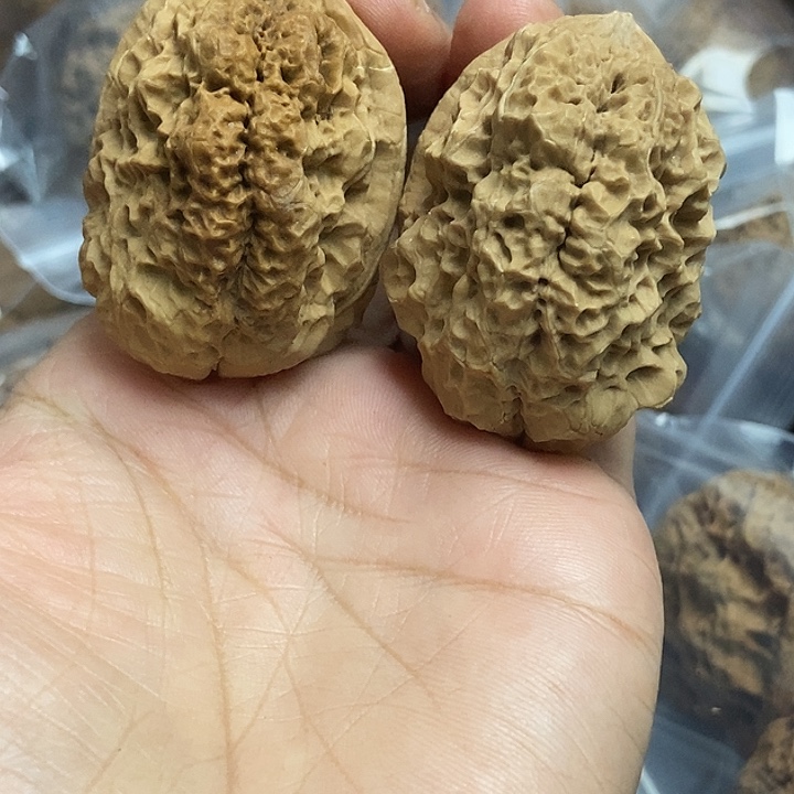 文玩核桃把件云南铁核桃基地10