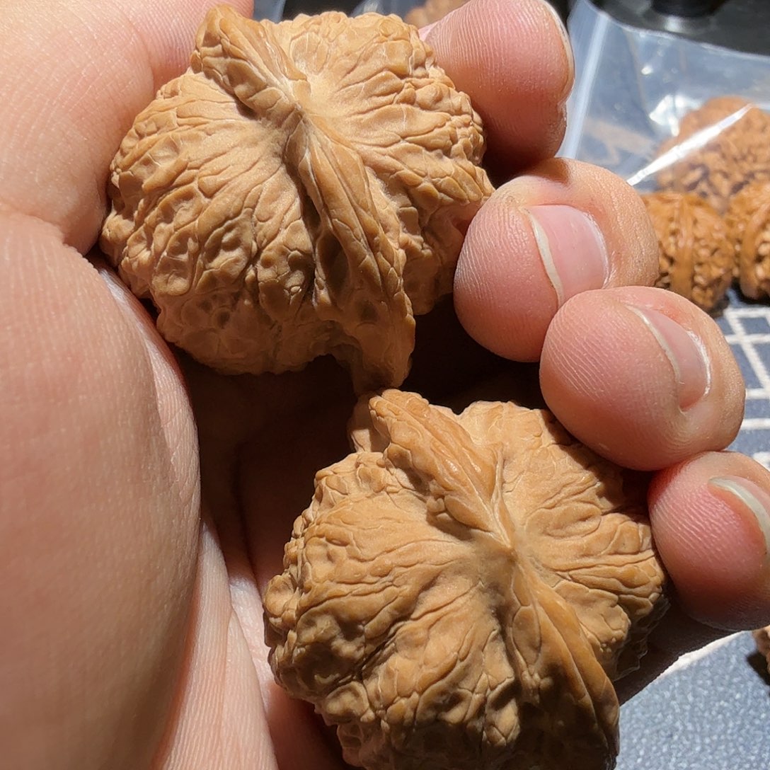 文玩核桃把件血麒麟