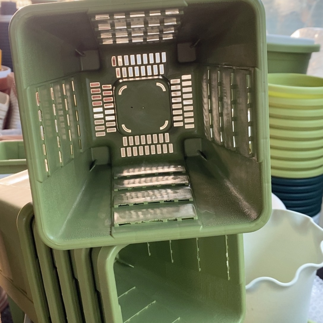 6个16口果绿方无托伊特（16×17）