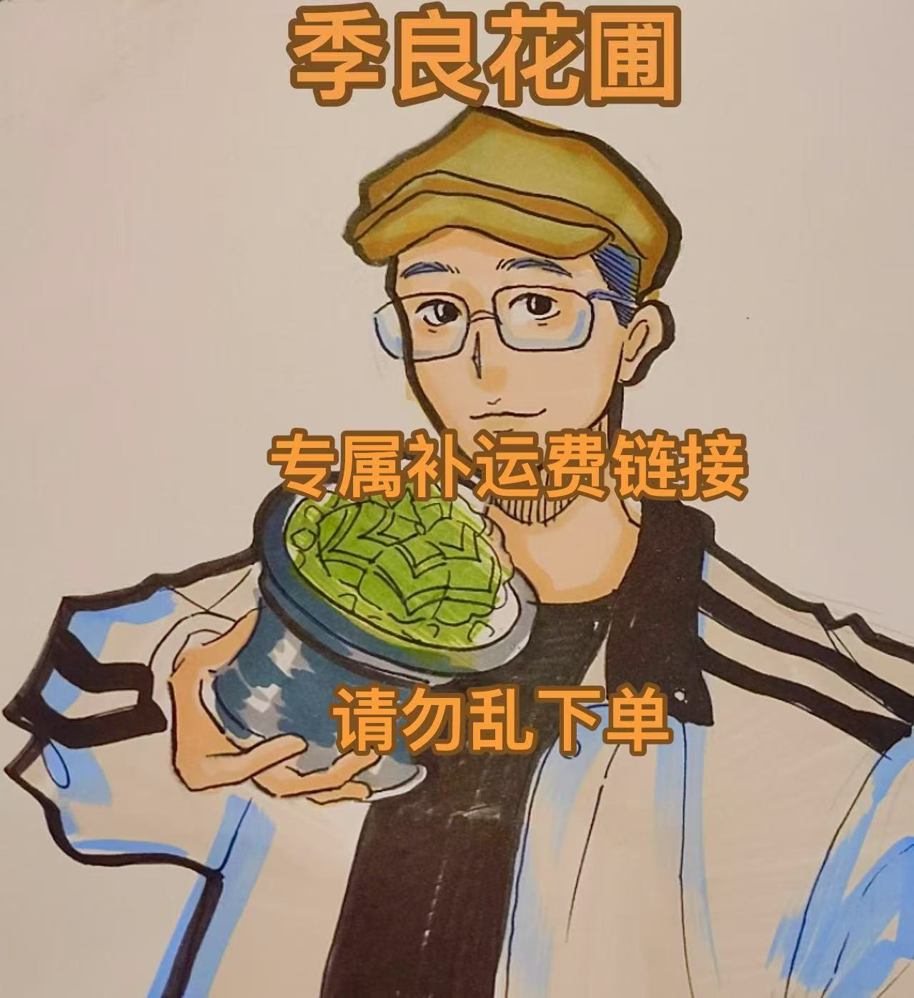 仙人球园艺植物专拍链接