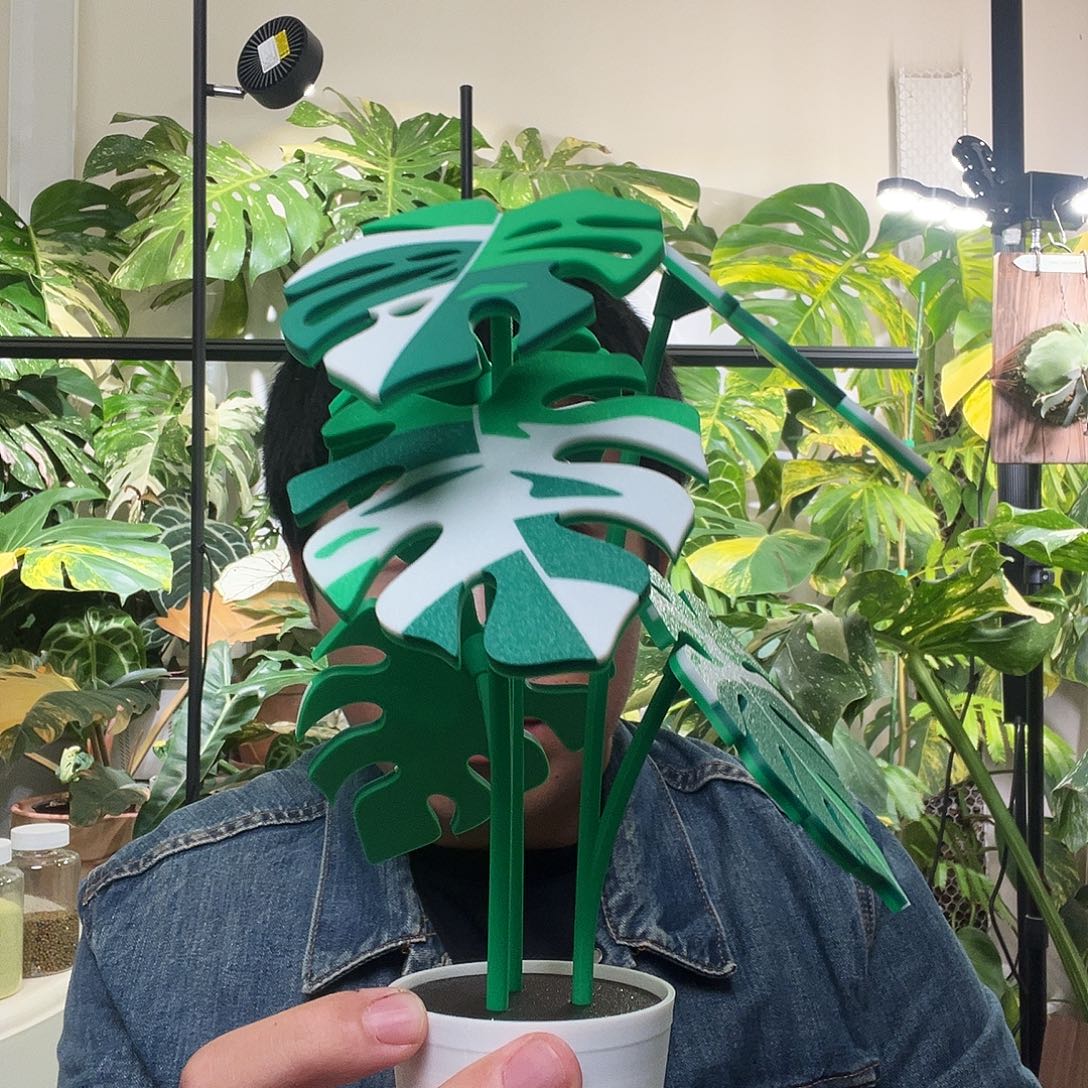 木3d打印龟背竹杯垫