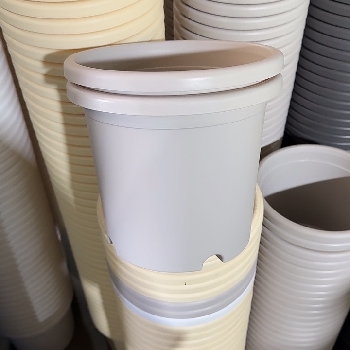 四季4#口径25灰白10个无托