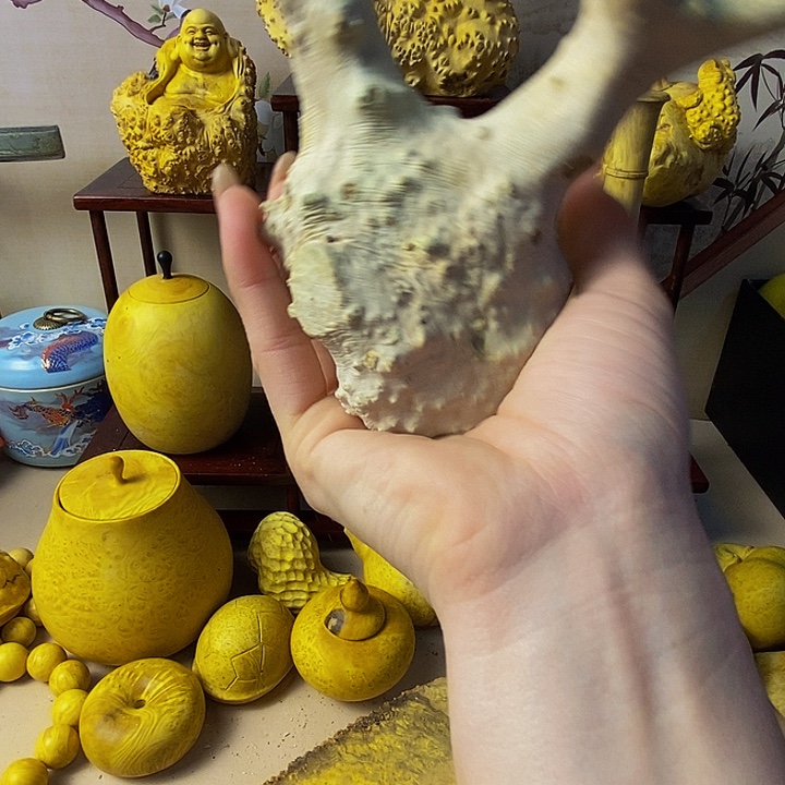 会***饮黄杨木等多种木材