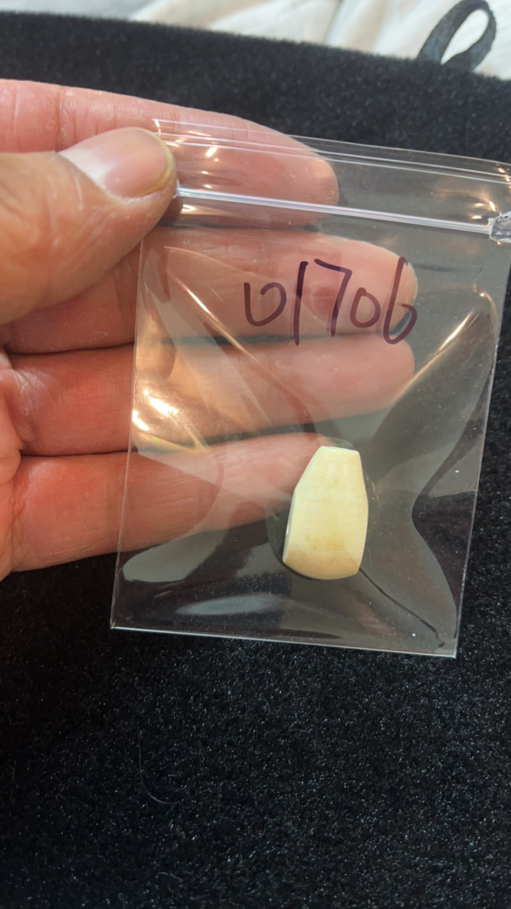 01706猛犸牙鲨鱼背三通配饰