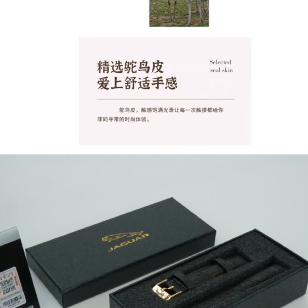 韩爵绅士 精选【鸵鸟皮表带】