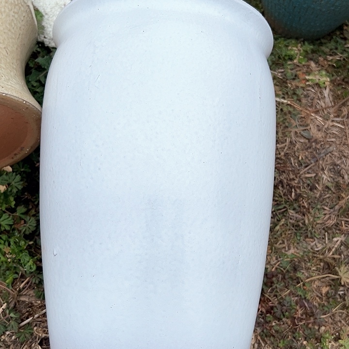 红陶口19高31福利价