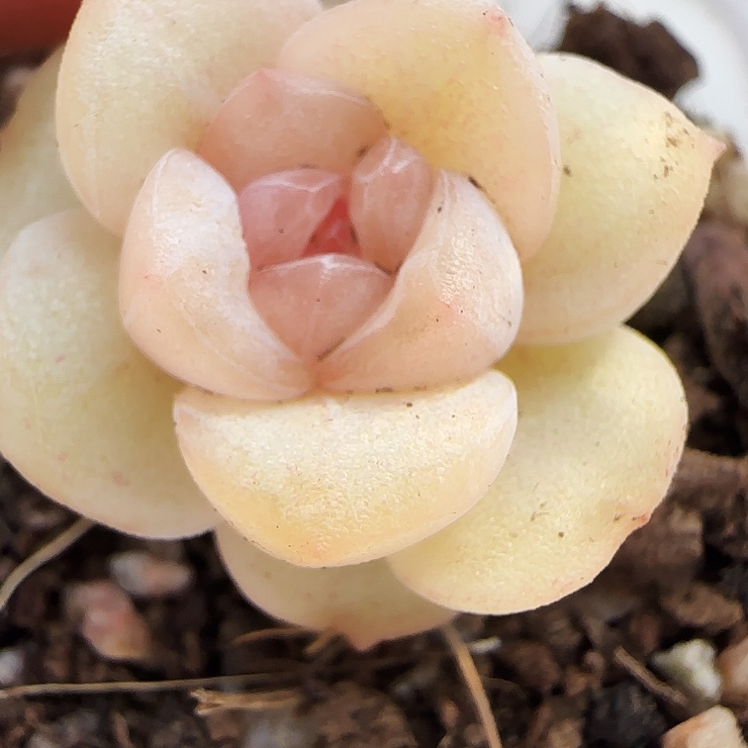 66号哈哈哈哈哈哈