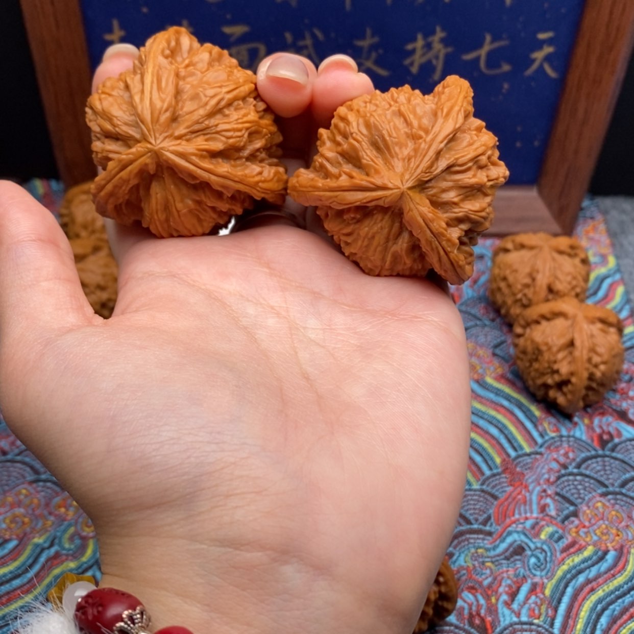 【闪购商品】黑****妖白狮