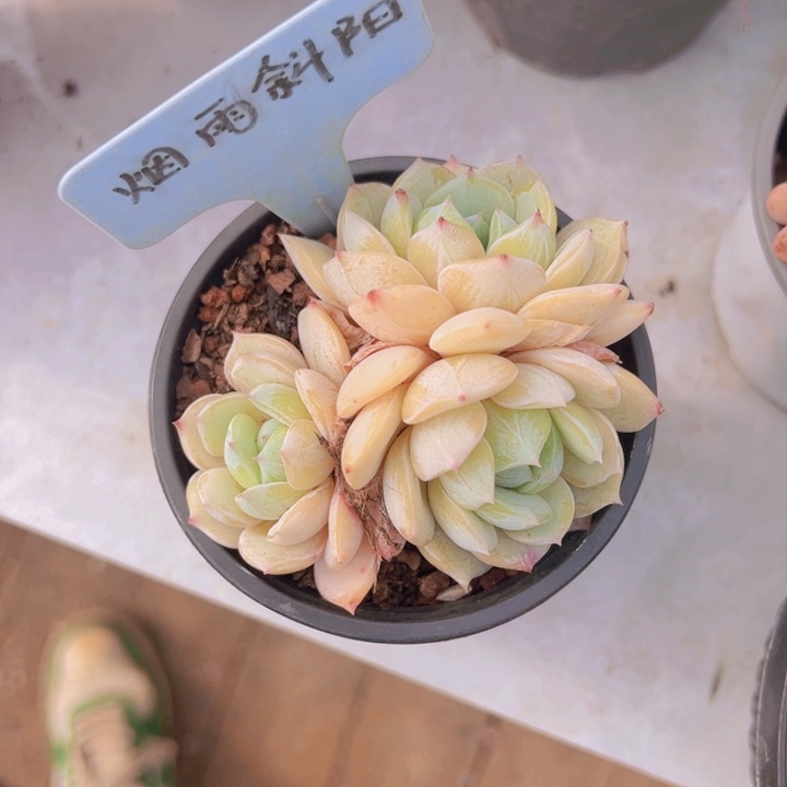 健健康康平平安安