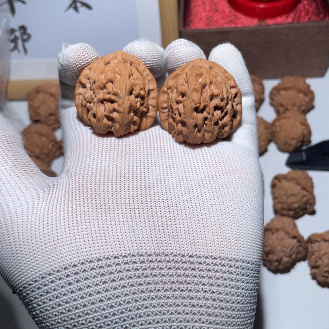 核桃文玩核桃角白