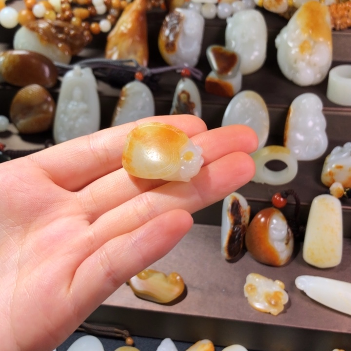 和田玉（子料）未镶嵌颈饰黄皮白色鹰嘴龟