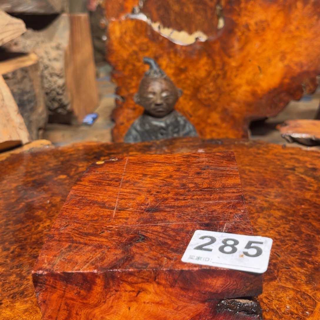 大果紫檀（缅甸花梨）