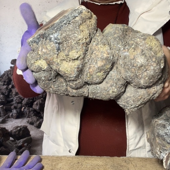 麻璃疙瘩干料一个