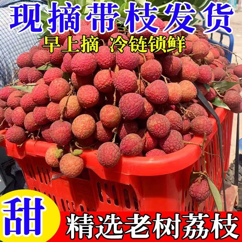广东高州黑叶荔枝当季新鲜多汁肉厚核小爆浆水果