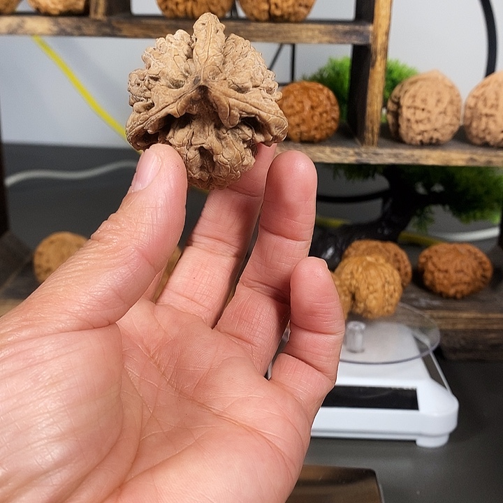 文玩核桃把件管帽47尺红皮果单只骨质好