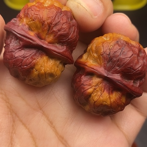 文玩核桃把件37尺七彩疙瘩包