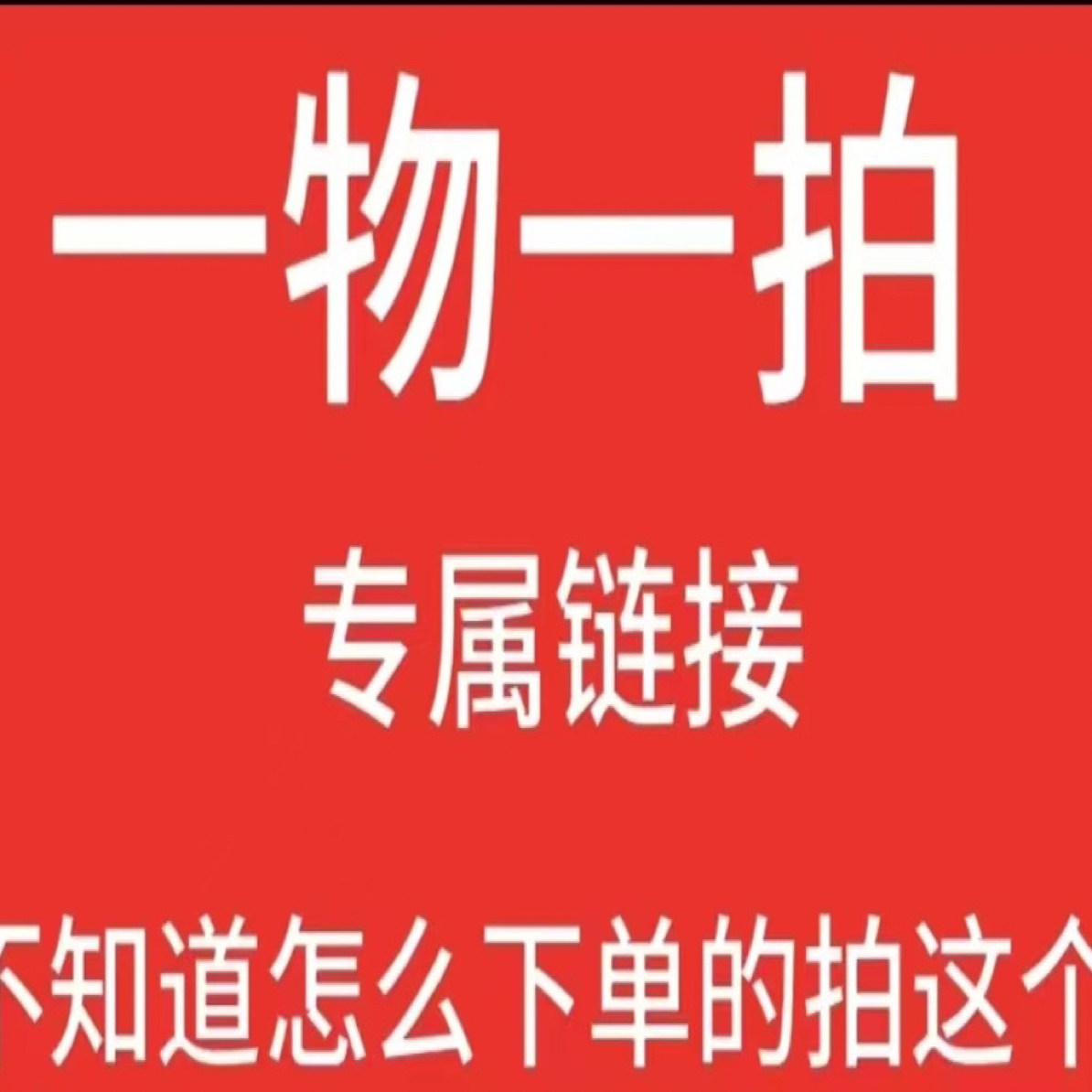 一物一拍 专属链接活动  月季花