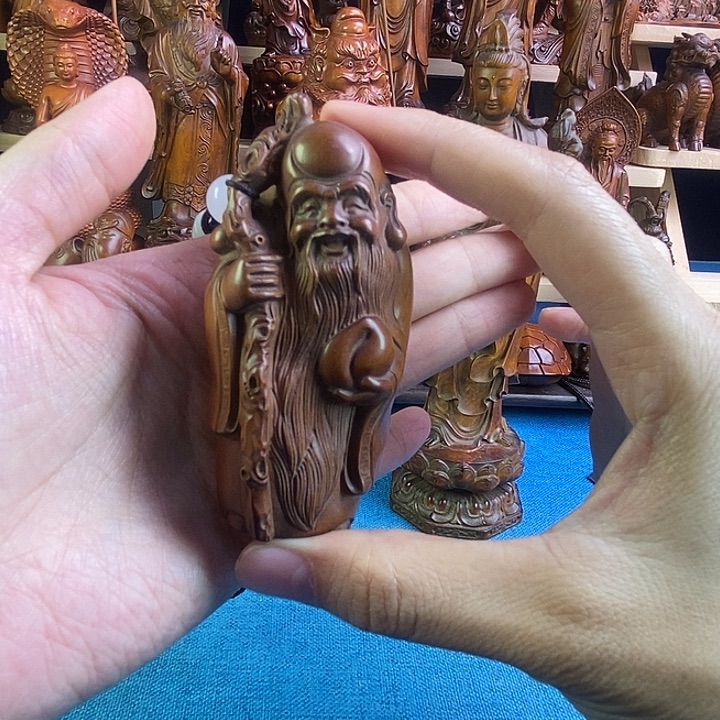 富***丹黄杨木小叶黄杨木