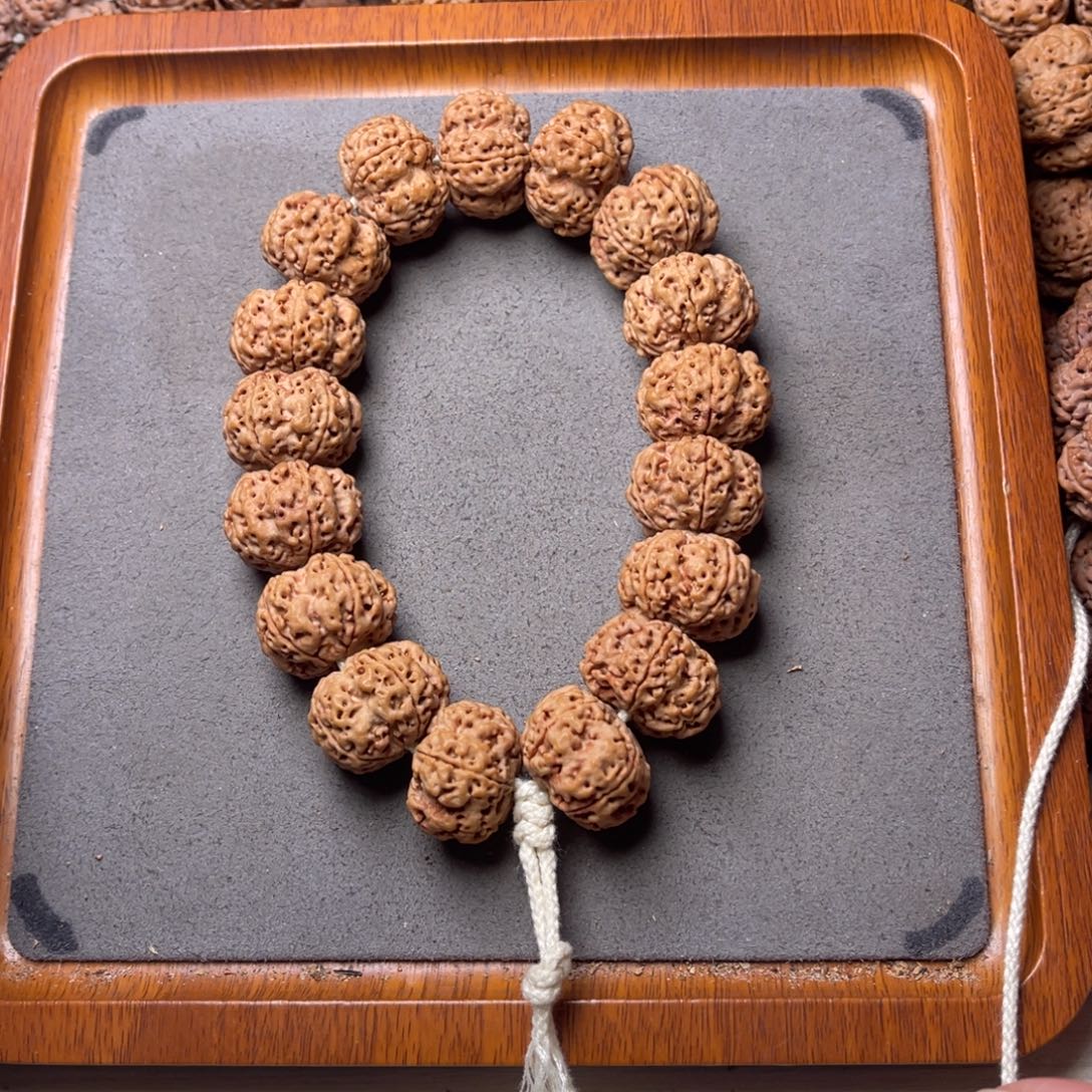 咕***～菩提籽类40号金刚菩提矮壮梅花22