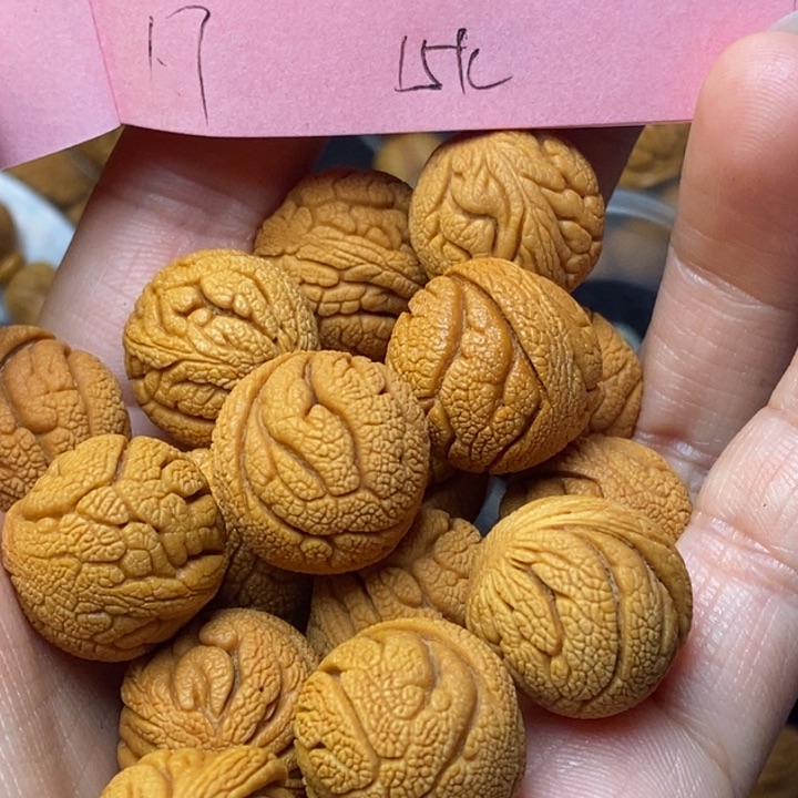 吊坠桃核秦岭龙纹桃核17尺寸