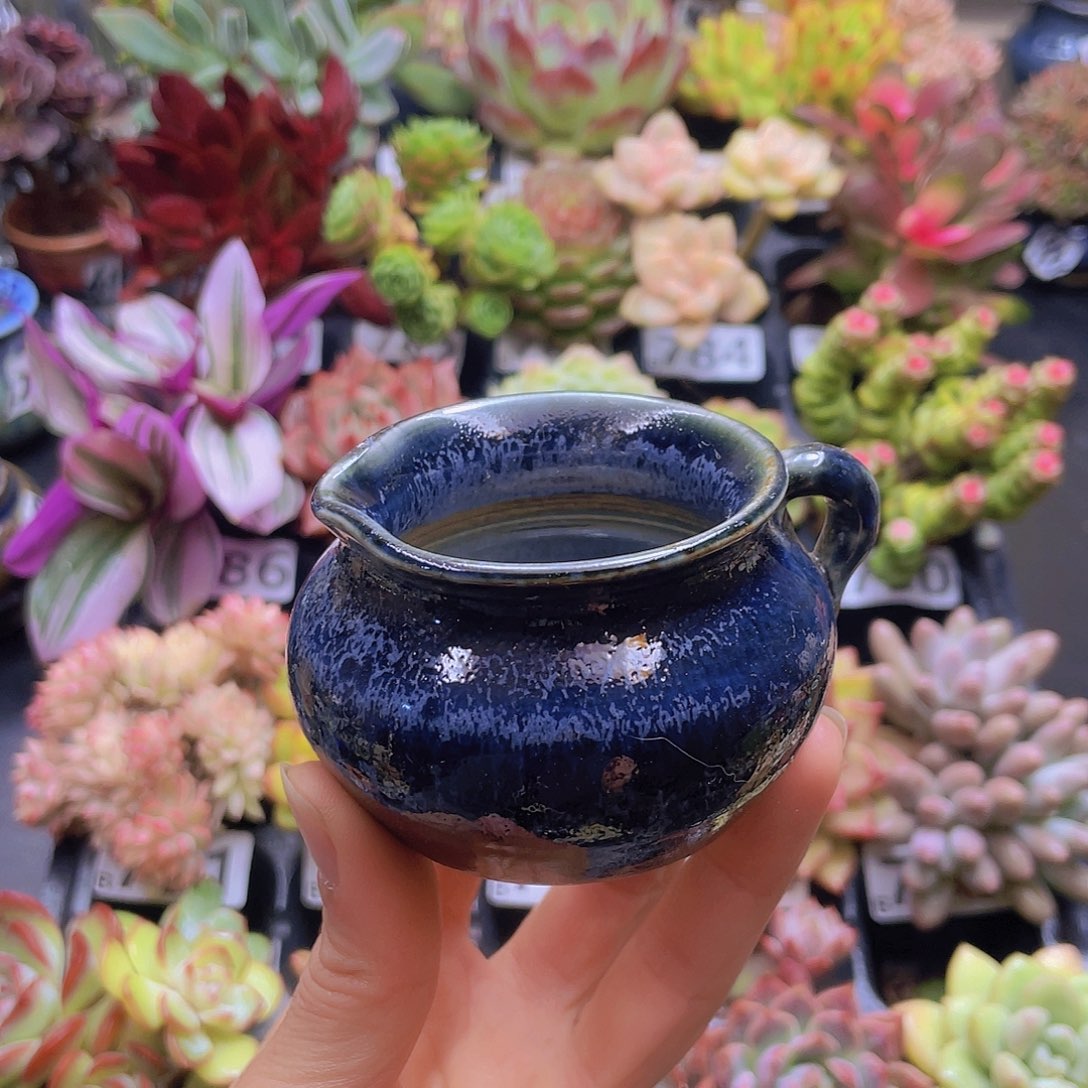 ****宝花钱花钱花钱花钱花钱