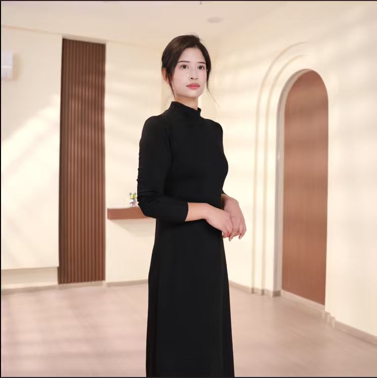 2025秋冬季半高领套头修身T型中长连衣裙时尚百搭打底2059款