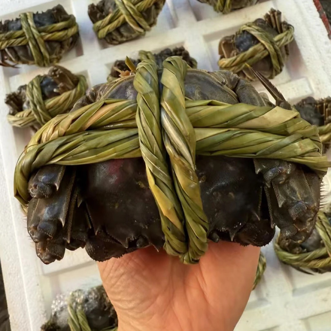 福利活蟹江苏大闸蟹1.8母（60克到80克1.2两到1.6两）15只