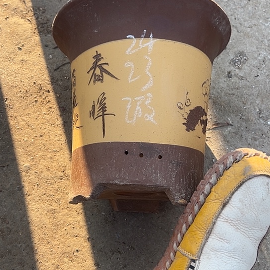紫砂工艺厂……紫砂工艺厂……