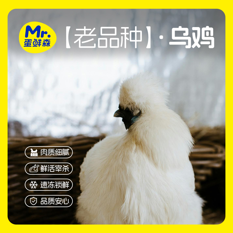 蛋鲜森乌鸡3只装单只800克以上