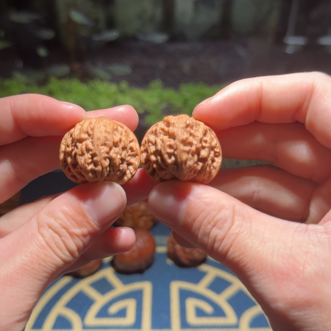 1825号30密云狮子头文玩核桃