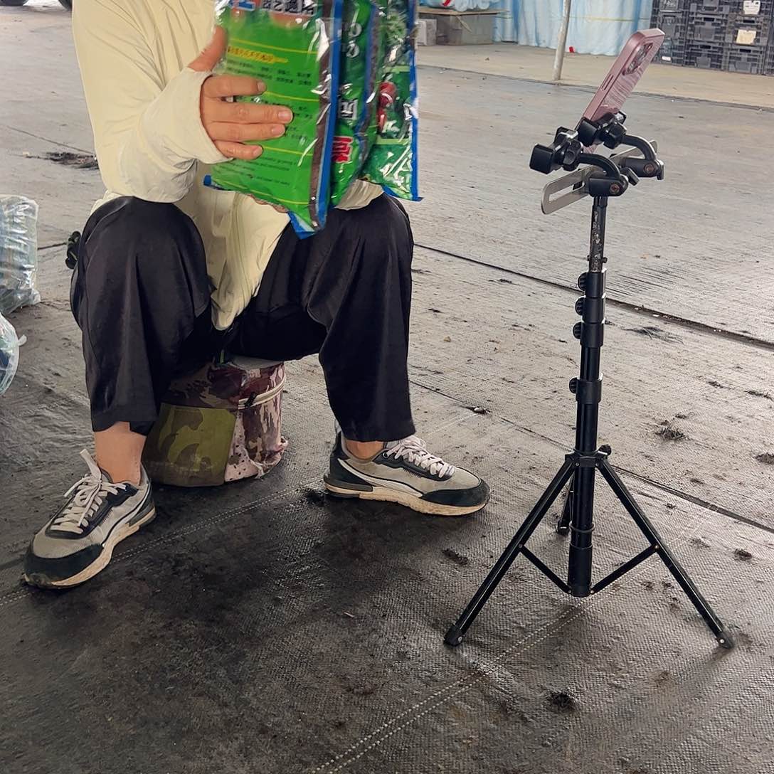 大部分开放少量花苞土3包