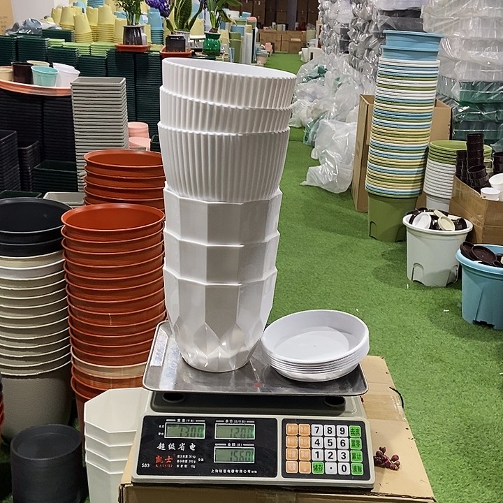 竖条纹3个白口19钻石3个口17白色带拖