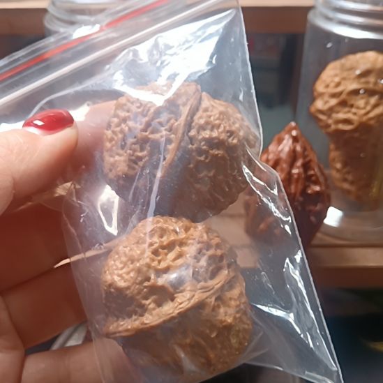 文玩核桃把件6666666666666666