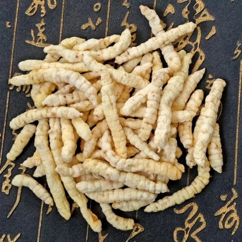 老挝高山白虫草-啊伟专属Y 薏米