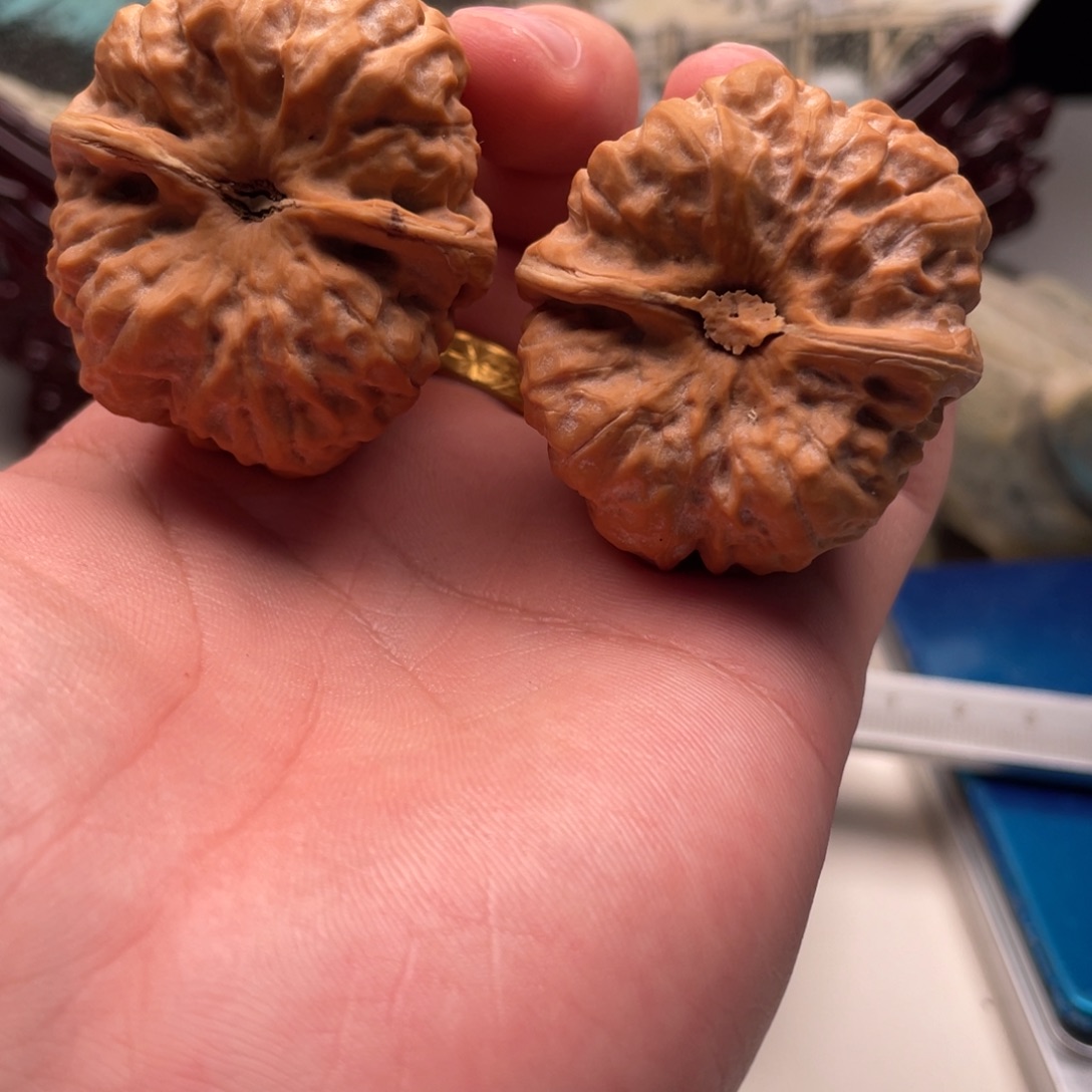 ，***，核桃蛤蟆头文玩C07