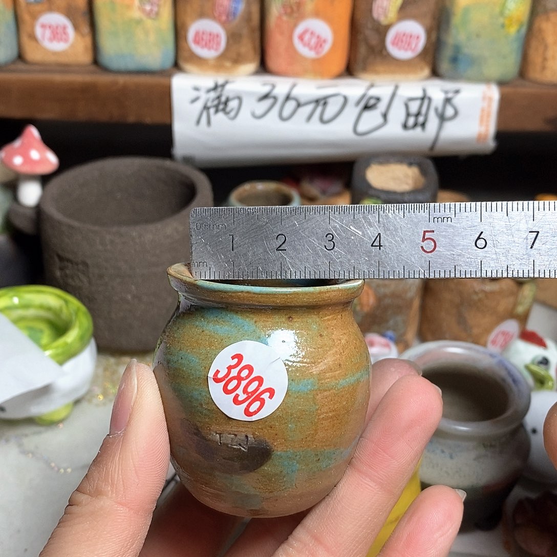 红陶拍5送一个小