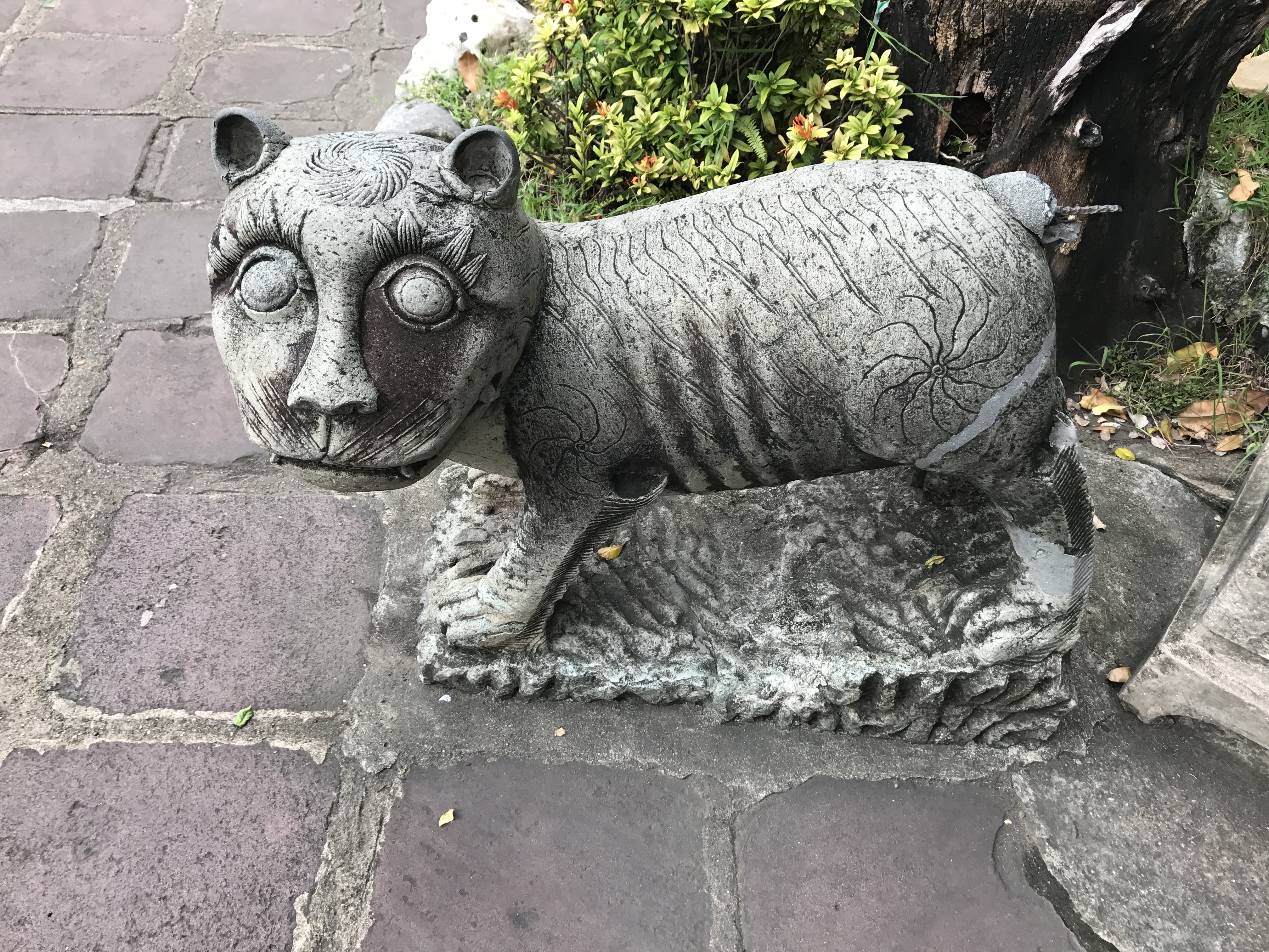 实生草球专拍链接（拍前联系）