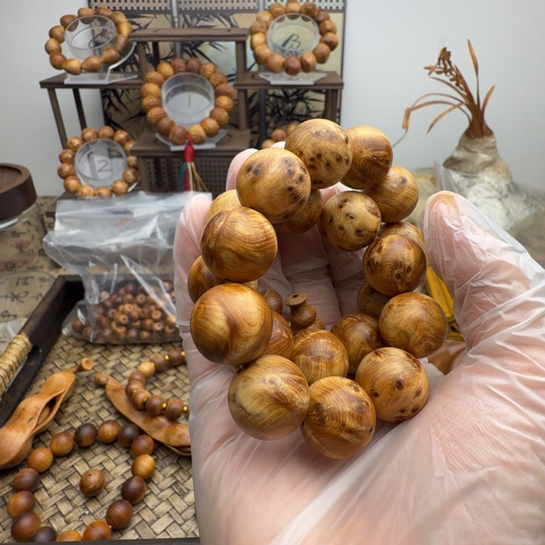 乐*?太行崖柏闪电留疤18