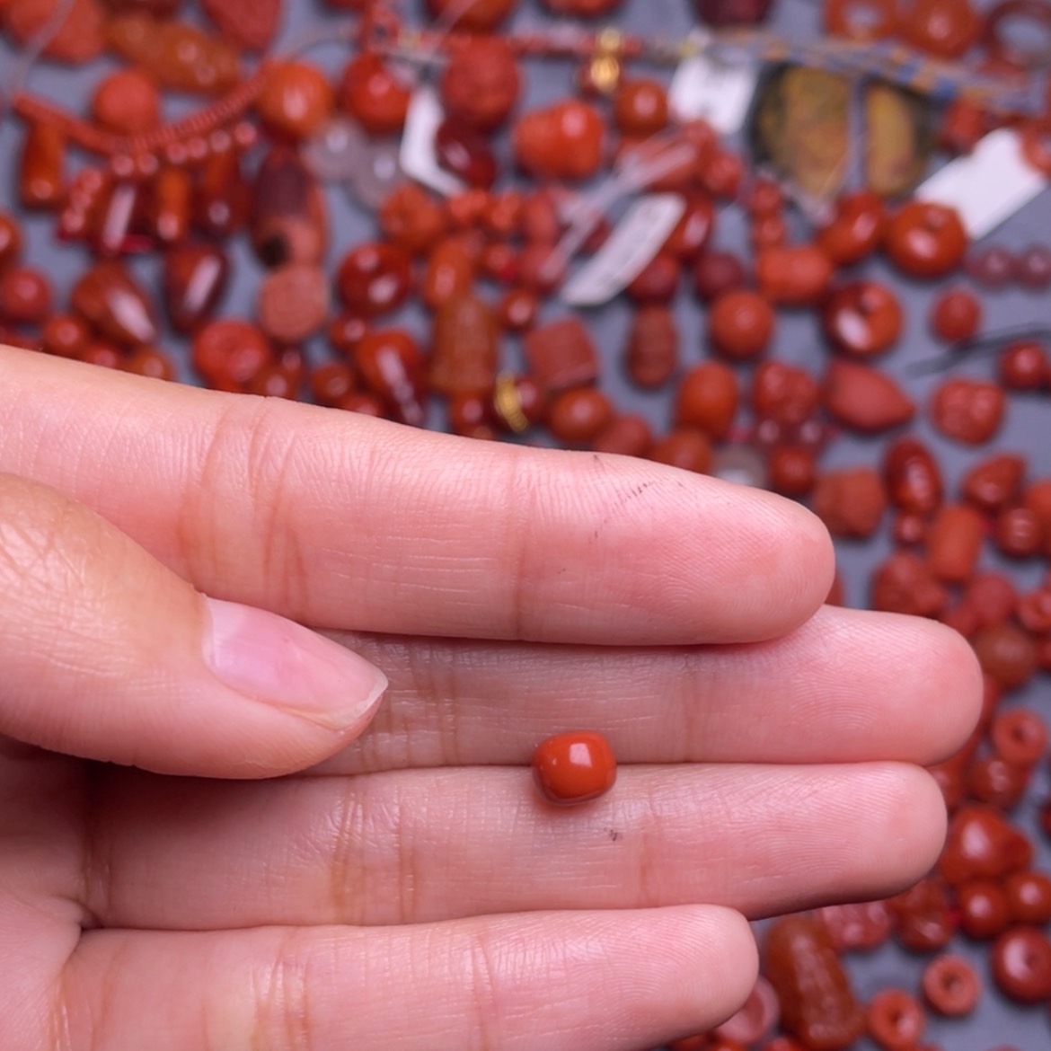 【闪购商品】南红玛瑙未镶嵌川料南红是**啊6