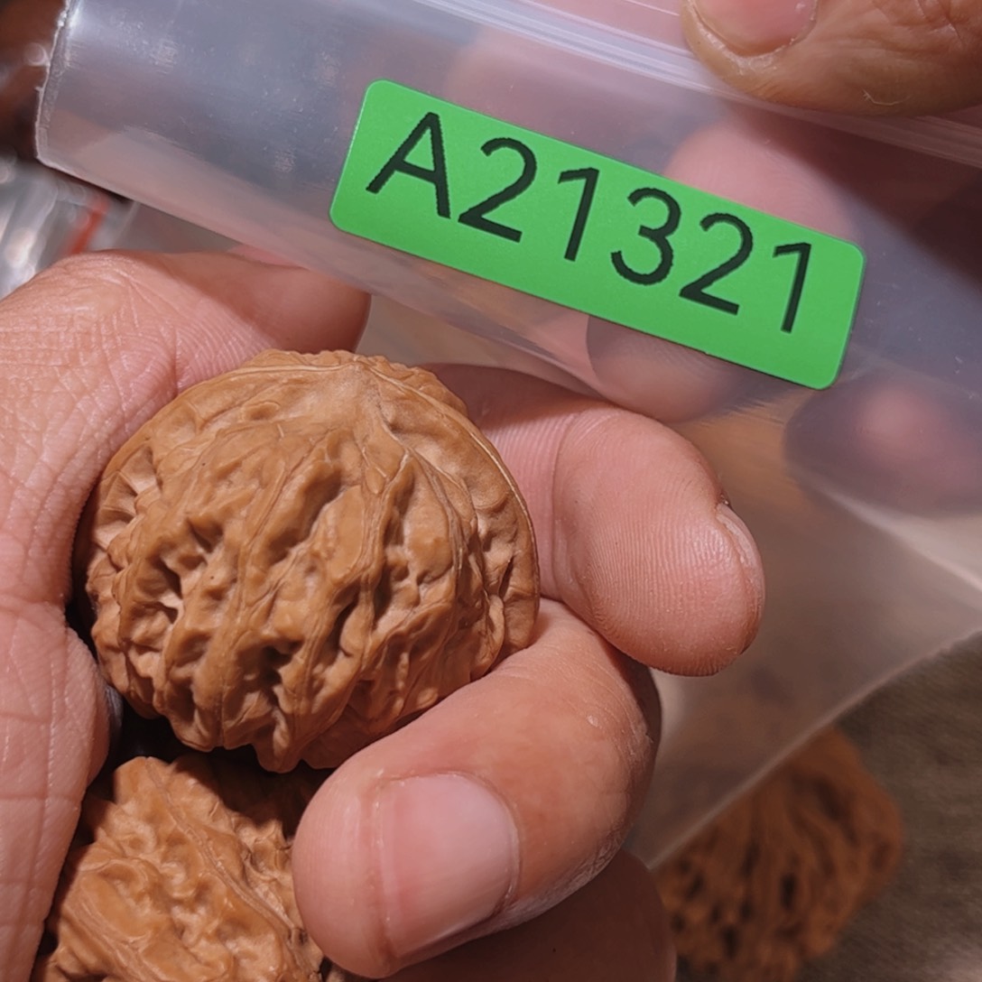 文玩核桃吊坠元宝