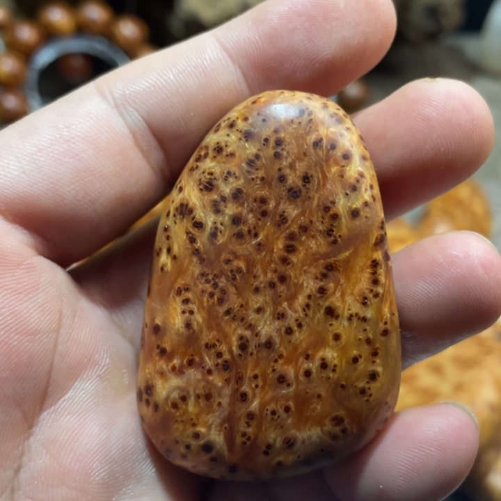 其他柏木（崖柏）把