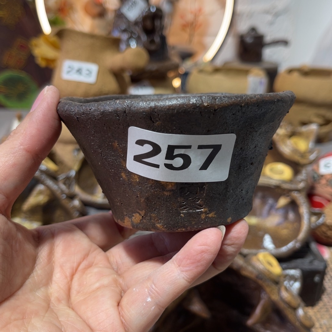 木村信弘柴烧保平