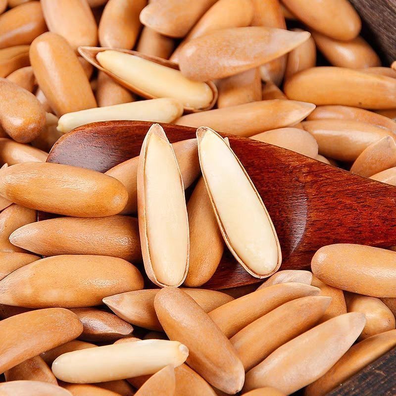 新货大颗粒手剥阿富汗松子手抓包500g罐装巴西松子